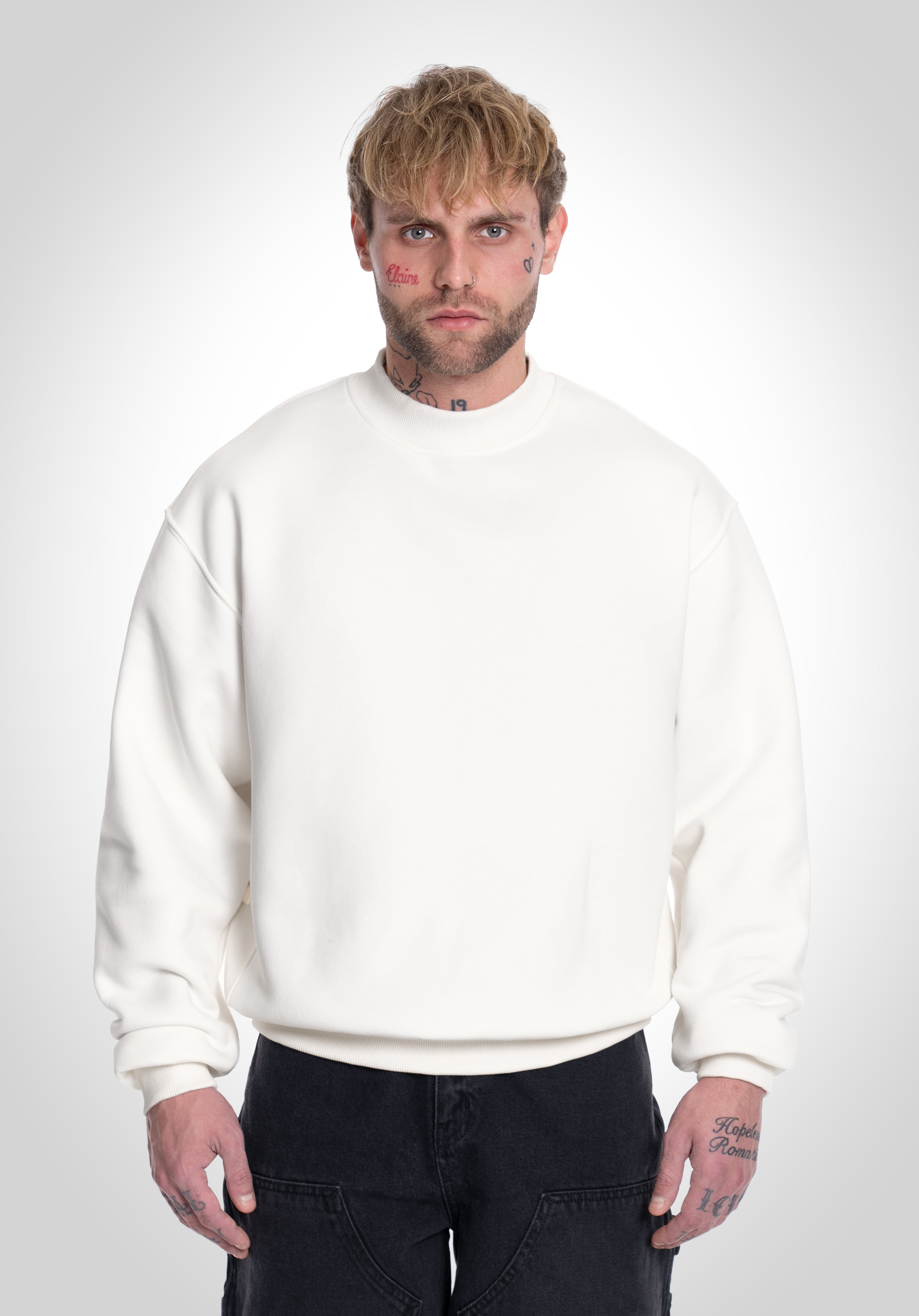 stein(シュタイン)/OVERSIZED LAYERED SWEAT LS/Greige 通販
